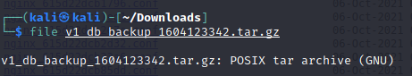 What file type is this?