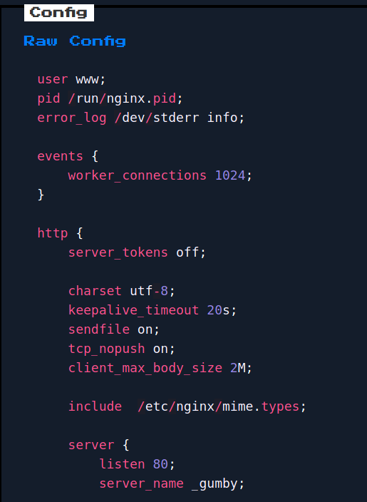 Nginx config text